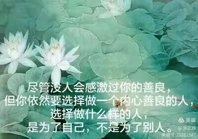 写给善良的你